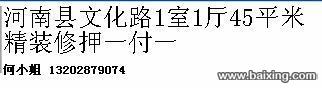 河南县文化路1室1厅45平米精装修押一付一